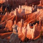 Bryce Canyon