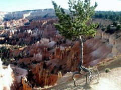 Bryce Canyon