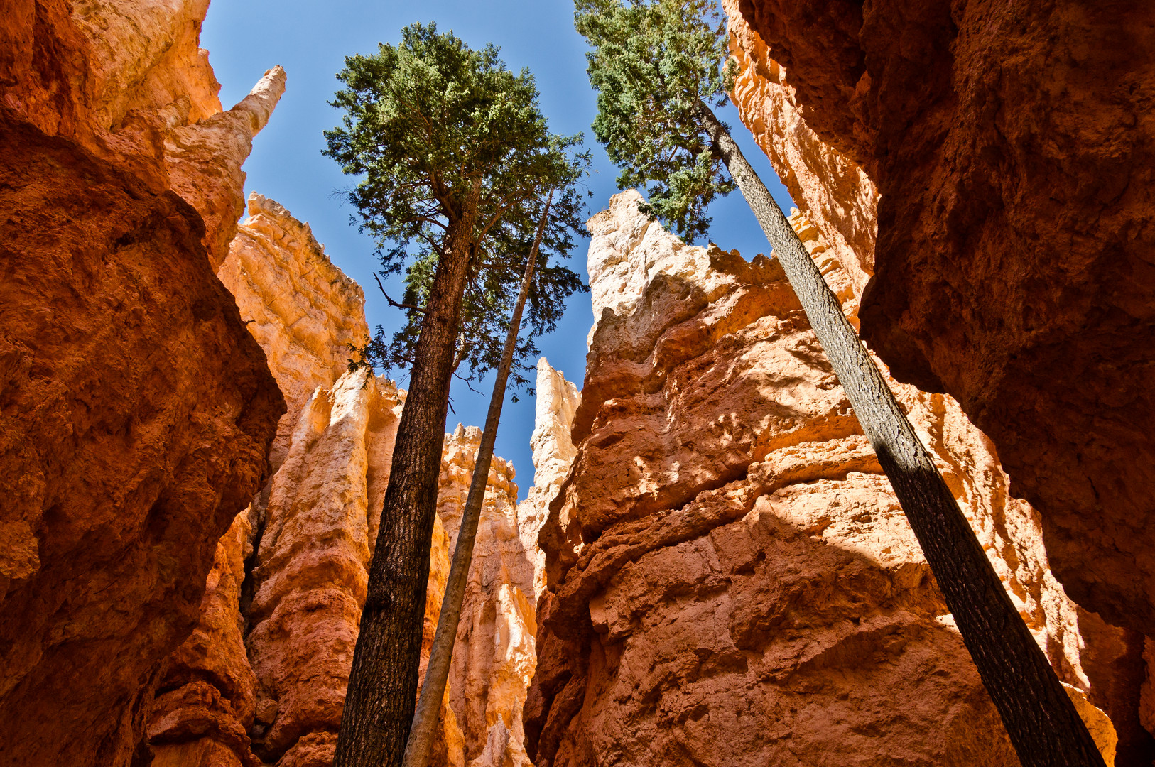 Bryce Canyon