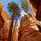 Bryce Canyon