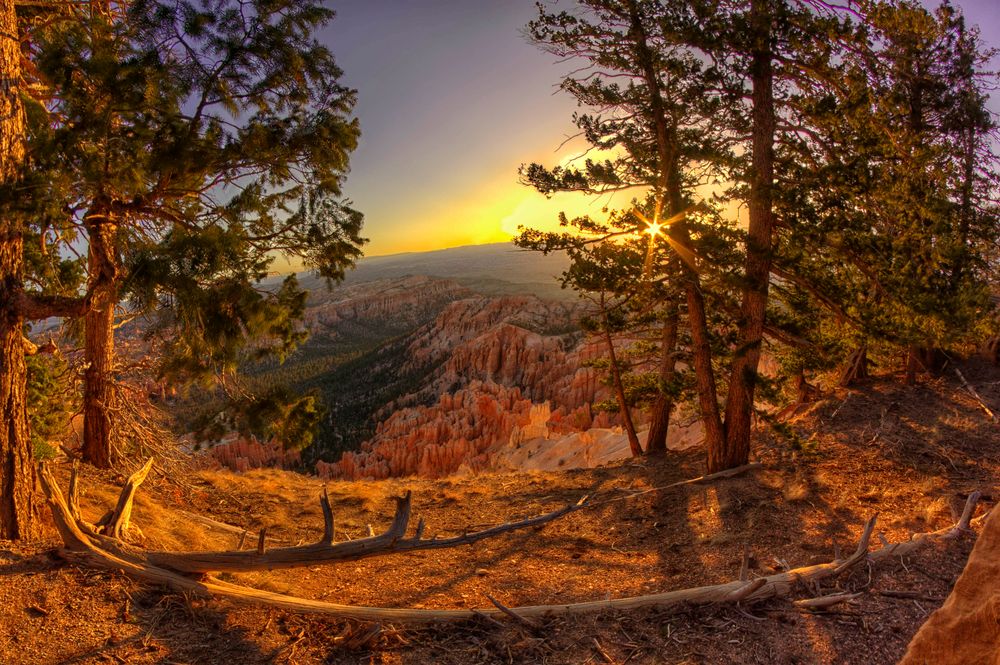 Bryce Canyon