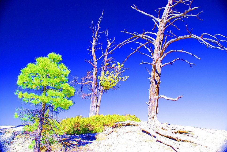 bryce canyon