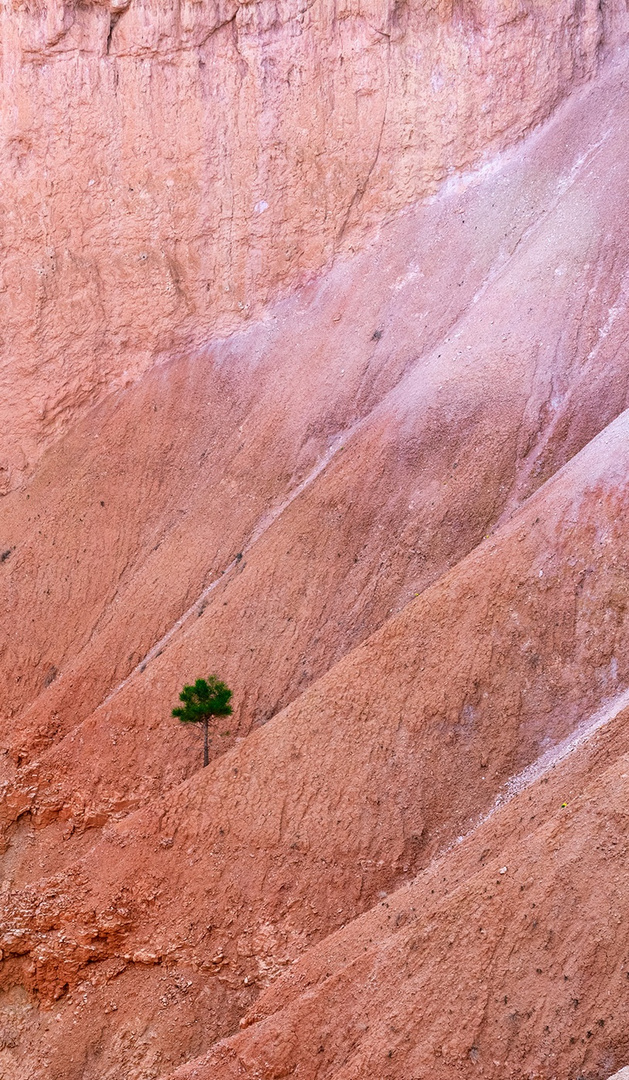 Bryce Canyon 4