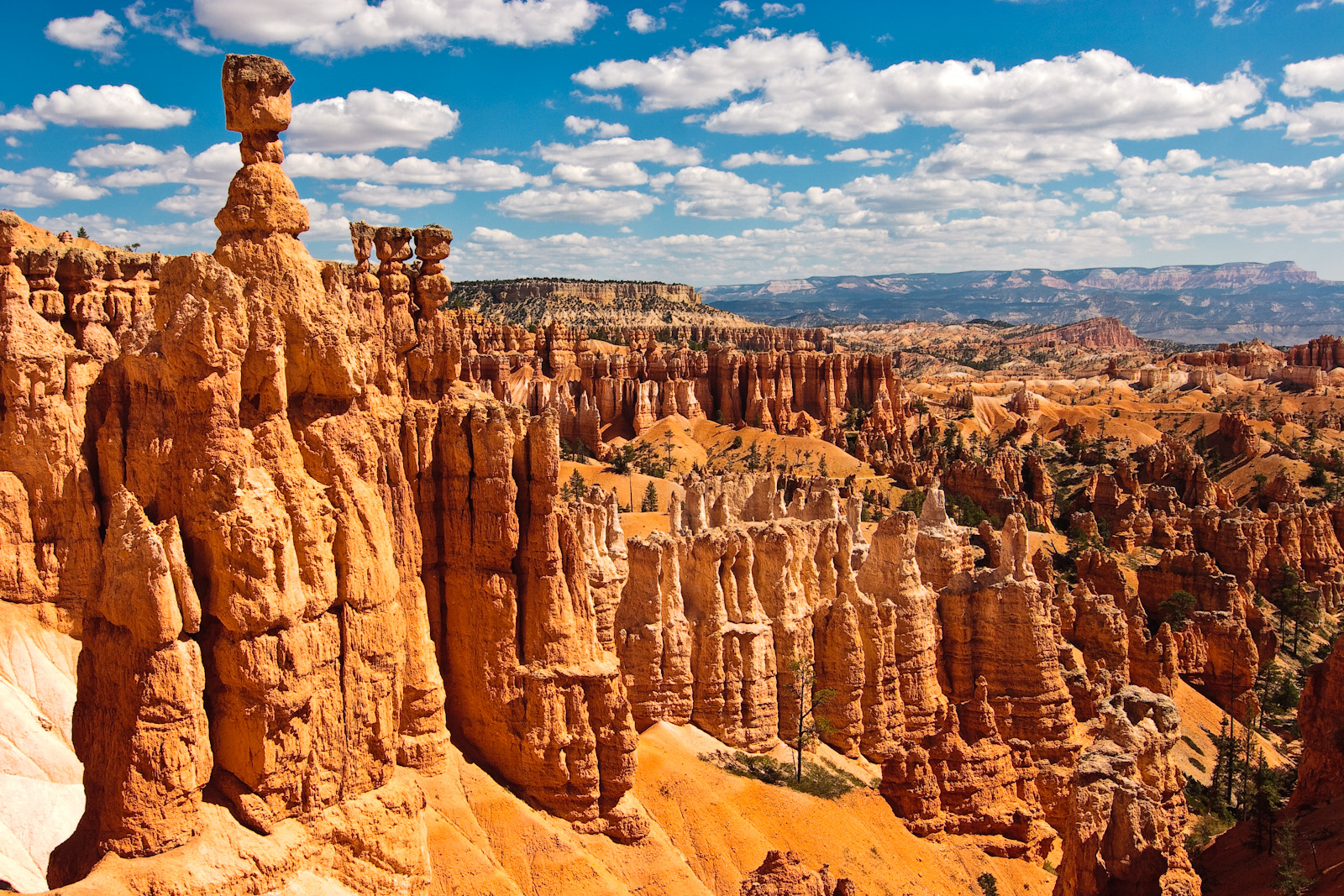 Bryce Canyon (4)