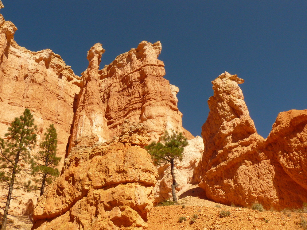 Bryce Canyon