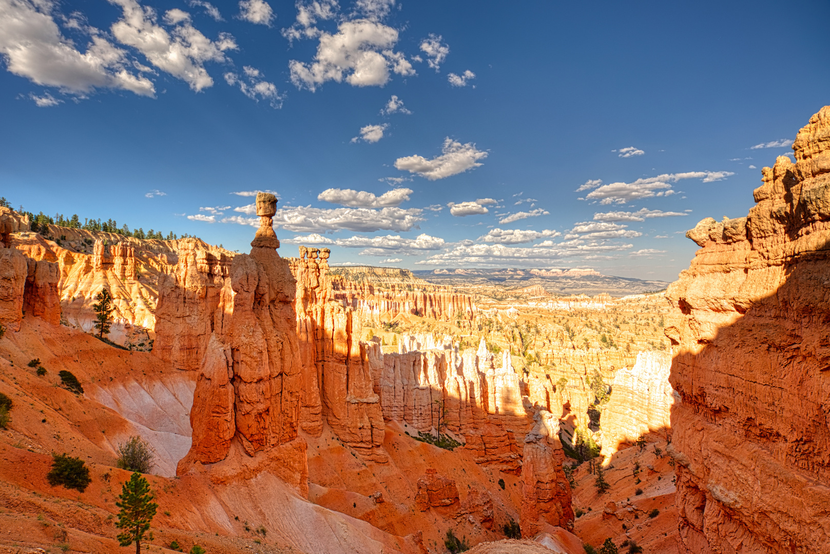 Bryce canyon