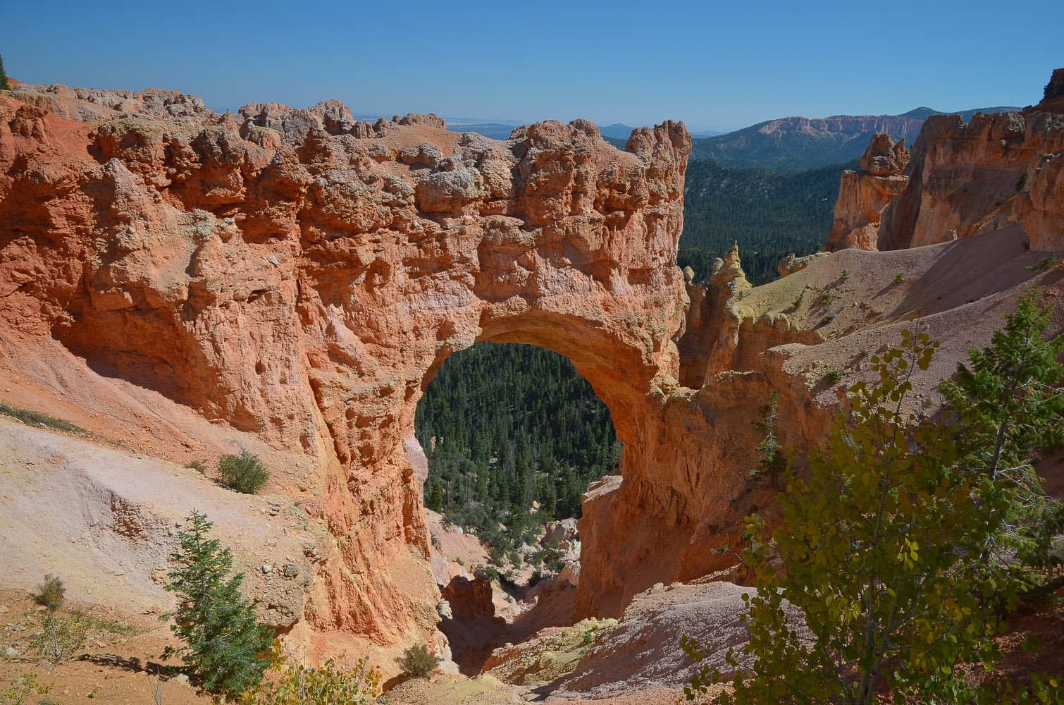 Bryce Canyon