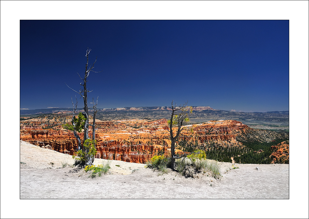 Bryce Canyon