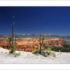 Bryce Canyon