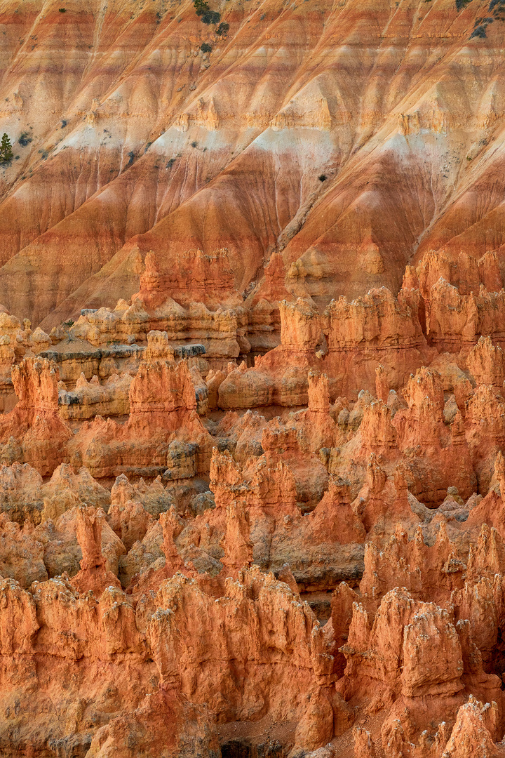 Bryce Canyon 5