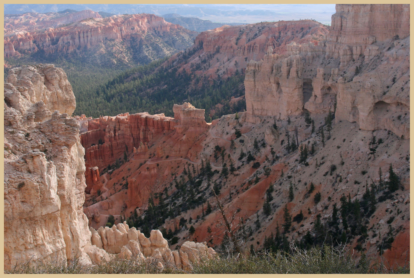 Bryce Canyon 5 late afternoon