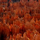 Bryce Canyon