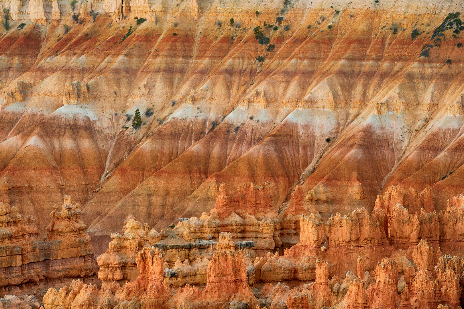 Bryce Canyon 6