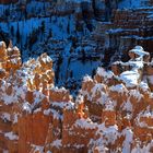 Bryce Canyon #6