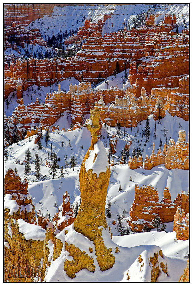 Bryce Canyon