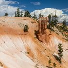 Bryce Canyon 63