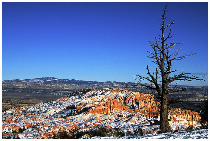 Bryce-Canyon