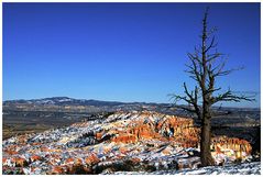 Bryce-Canyon