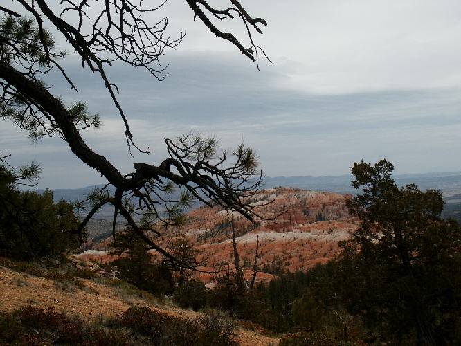 Bryce Canyon