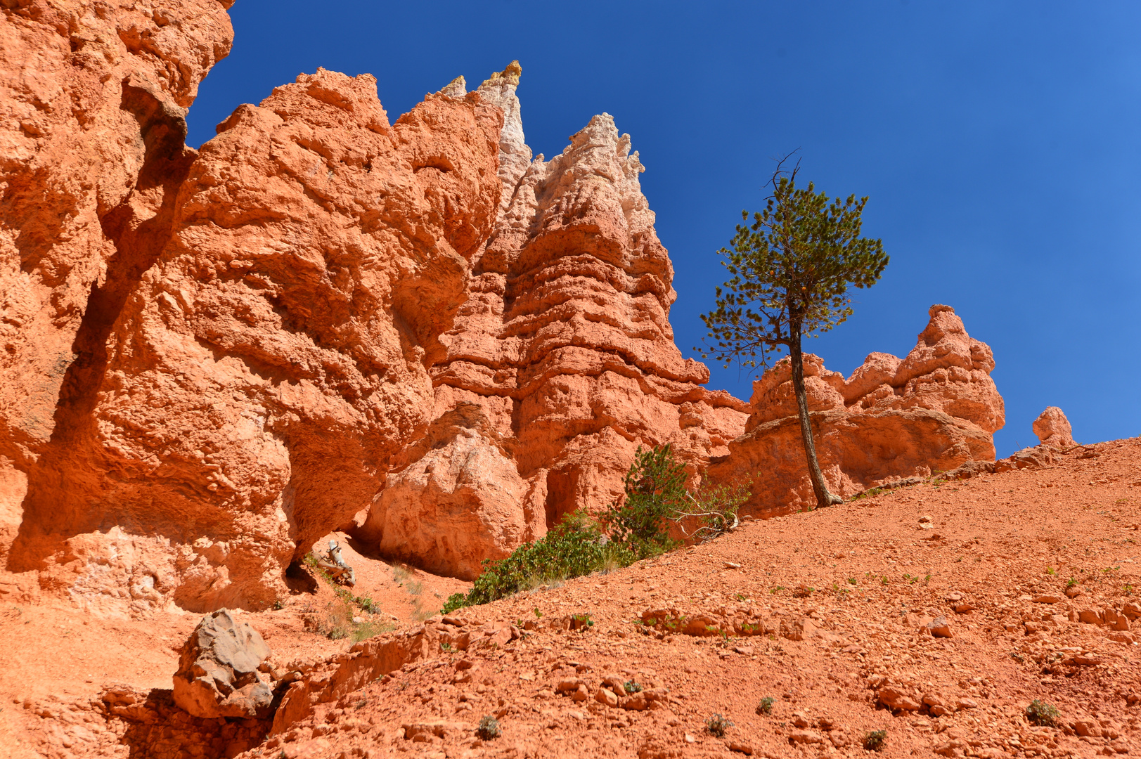 Bryce Canyon