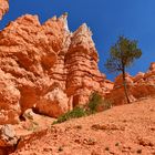 Bryce Canyon