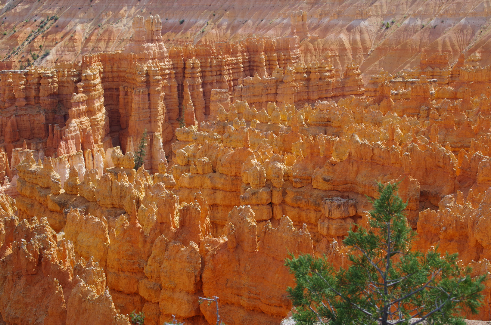 Bryce Canyon