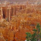 Bryce Canyon