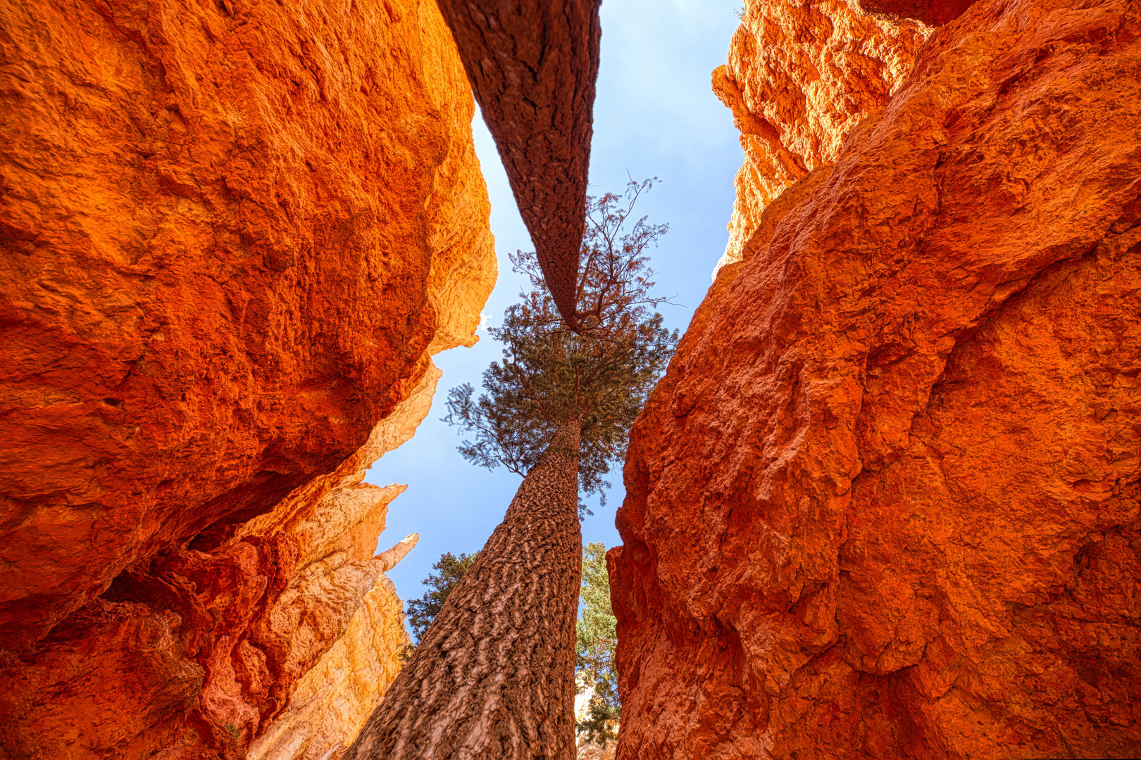 Bryce canyon