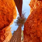 Bryce canyon