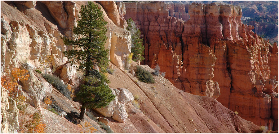 BRYCE CANYON