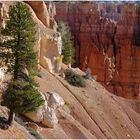 BRYCE CANYON