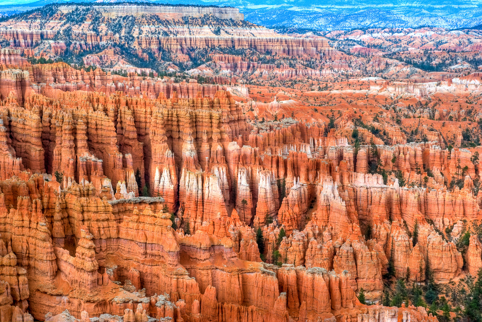 °Bryce Canyon°