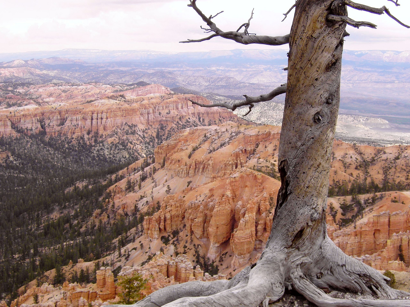 Bryce Canyon