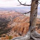 Bryce Canyon