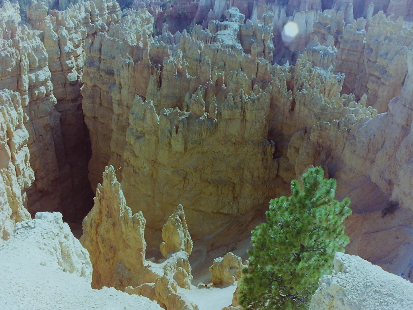 "Bryce - Canyon"