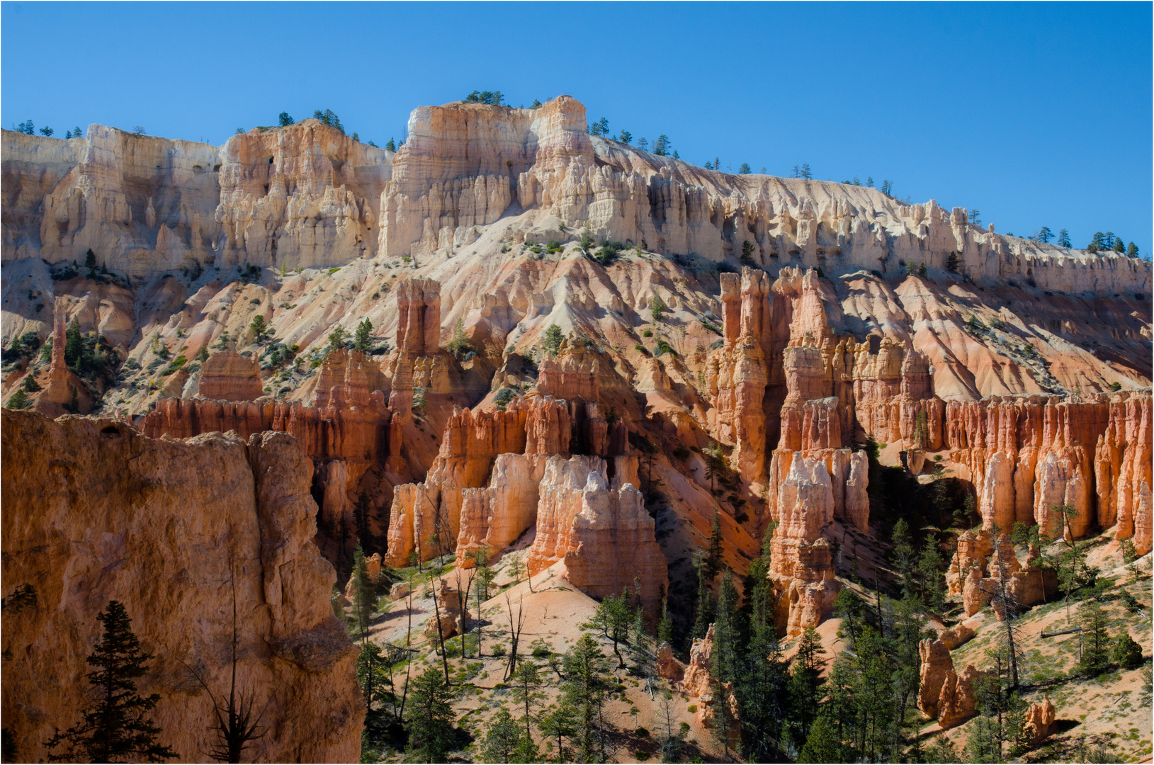 Bryce Canyon