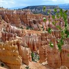 bryce canyon