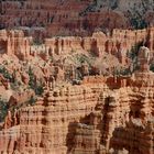 Bryce Canyon 7