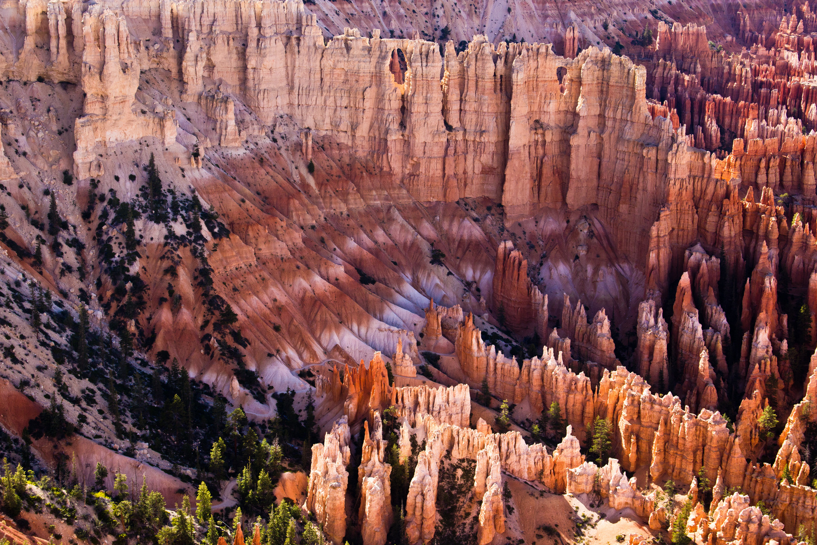 Bryce Canyon # 7