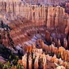 Bryce Canyon # 7