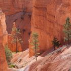 Bryce Canyon