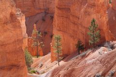 Bryce Canyon