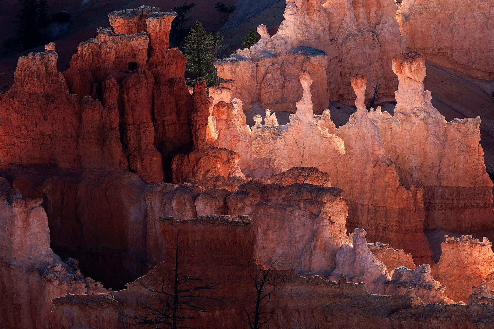 Bryce Canyon