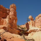 Bryce Canyon