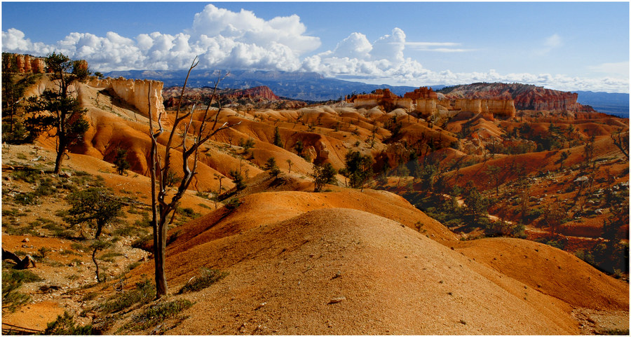 BRYCE CANYON