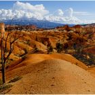 BRYCE CANYON