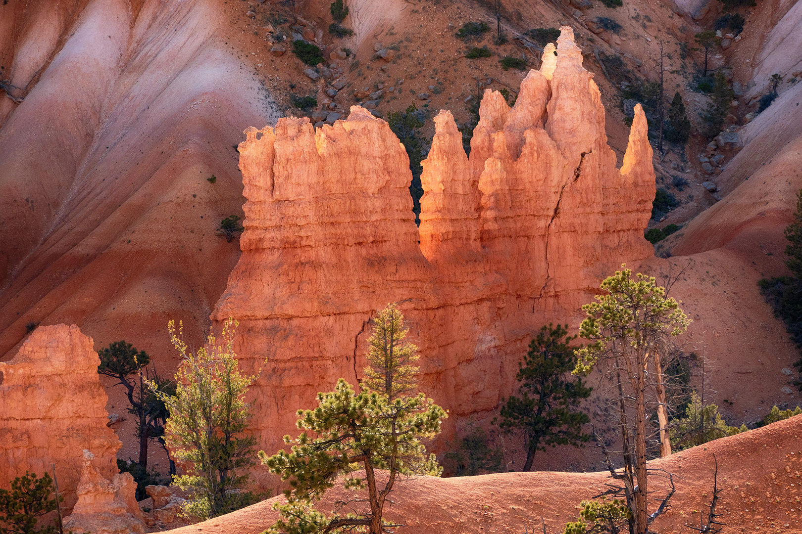 Bryce Canyon 8