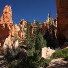 Bryce Canyon