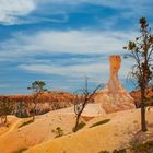 Bryce Canyon