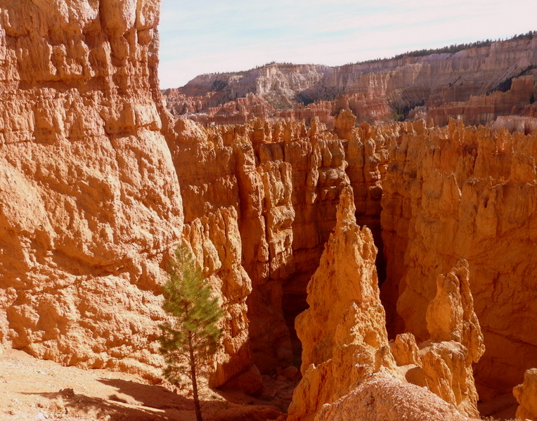 Bryce Canyon